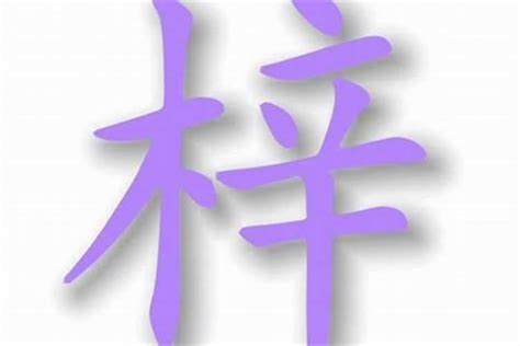 梓意思名字|梓字的含义和寓意